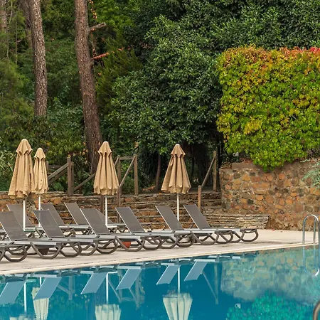 Bay Otel 5*